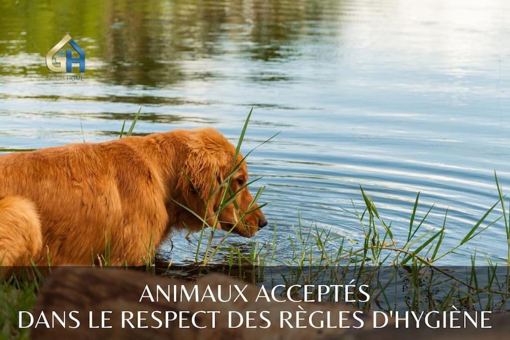 *L'Ecrin De L'Etang* Depaysement Assure Vila Bourbourg Exterior foto