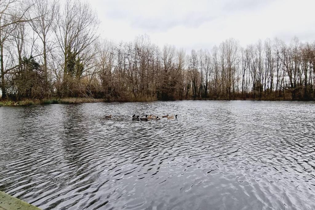 *L'Ecrin De L'Etang* Depaysement Assure Vila Bourbourg Exterior foto